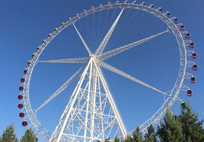 roller coaster cost