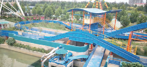 roller coaster quiz