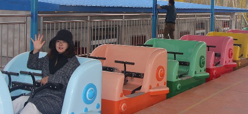 loop de loop roller coaster