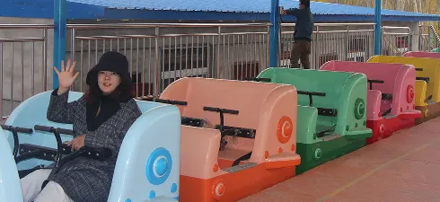 amusement carousel for sale